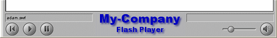 Der Flash Player mit einem Anweder-Logo